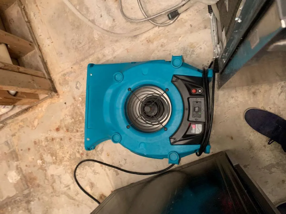 Air mover drying equipment for Mold Remediation & Removal in Cullman