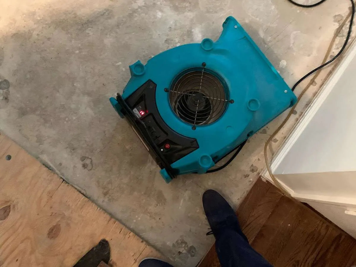 Air mover drying subfloor during Leak Detection & Repair in Cullman